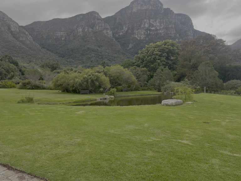 kirstenbosch