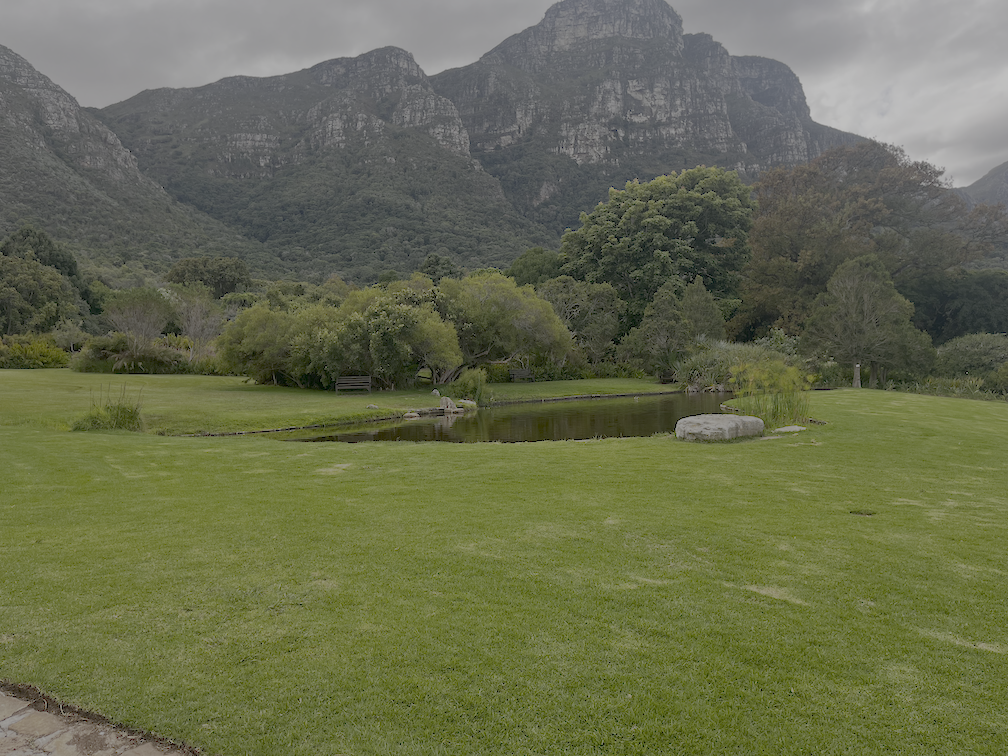 kirstenbosch
